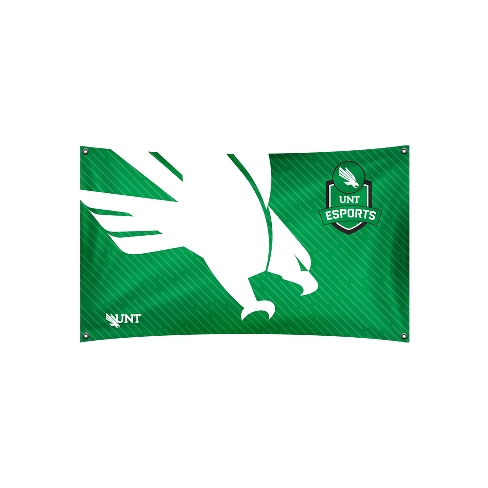 UNT Esports Flag