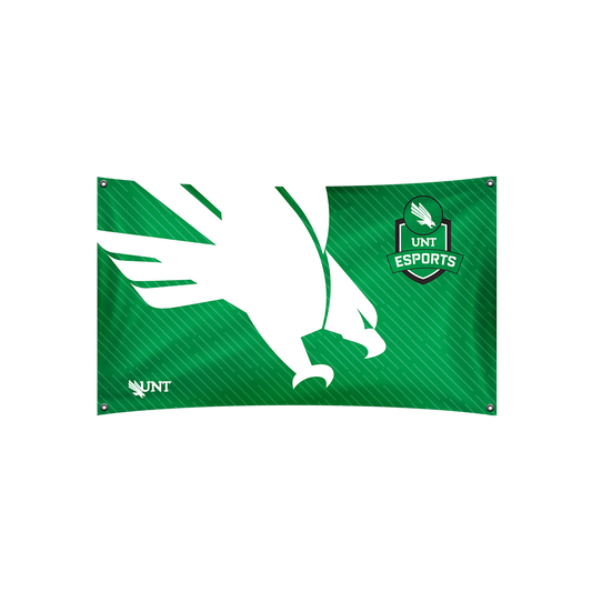 UNT Esports Flag