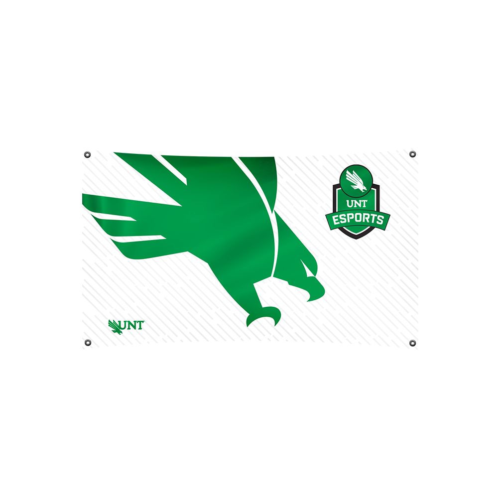 UNT Esports Flag